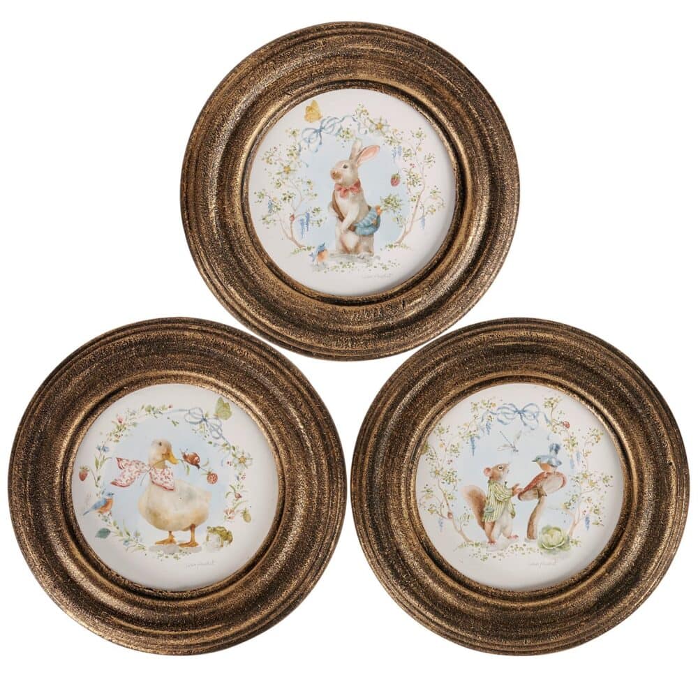frame set