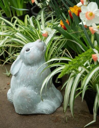 Unique Mother's Day Gifts rabbit
