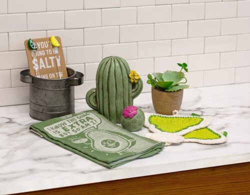 cactus display
