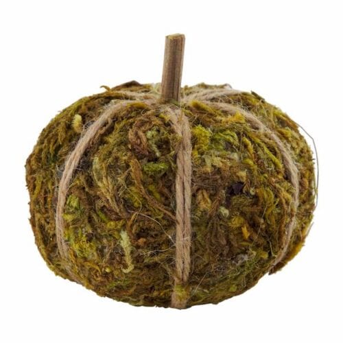 Pumpkin Mini- Moss