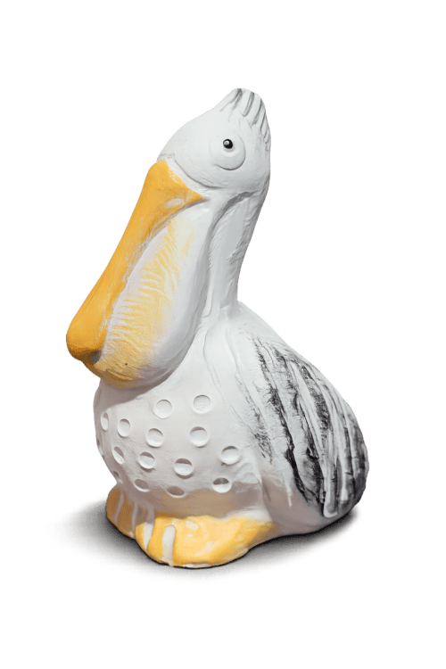 Small Pelican