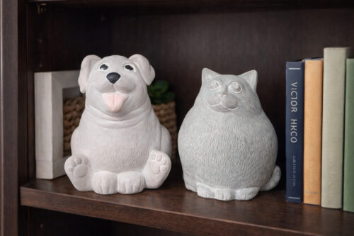 Chubby Puppy Fat Cat