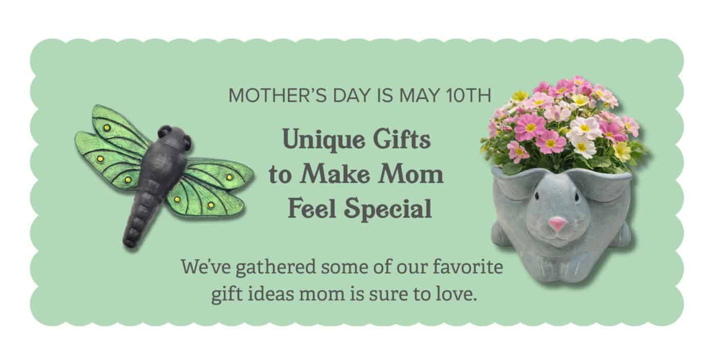 Copy of For the GARDENER MOM (8 x 2 in) (1680 x 840 px) Gifts for Mom! Dragonfly and Bunny Planter