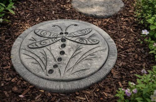 Dragonfly Stepping Stone
