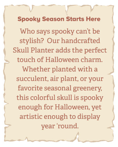 Pumpkins, Owls and All Thing Autumn (1)