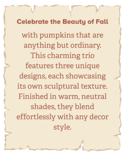 Pumpkins, Owls and All Thing Autumn (2)