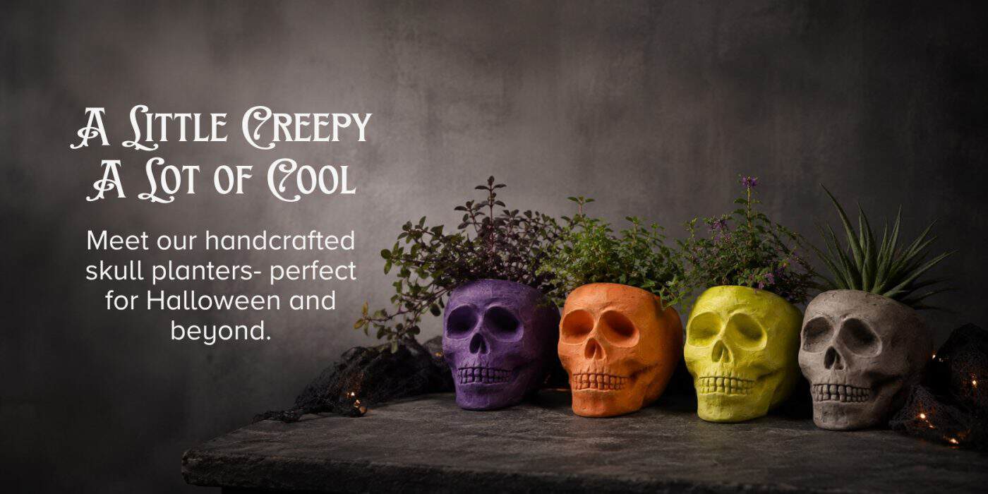 Skulls Skulls