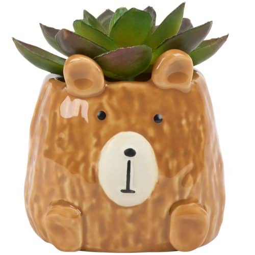 Planter, Teddy Bear